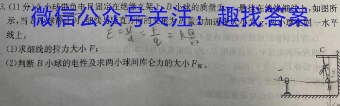 安徽省县中联盟2025届高二12月联考q物理