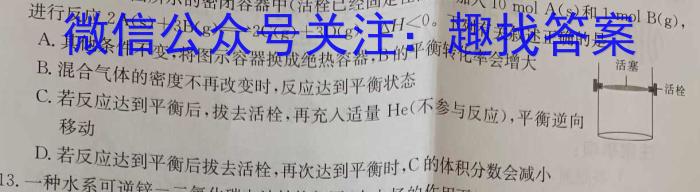 q徽师联盟安徽省2024届高三12月质量检测卷化学