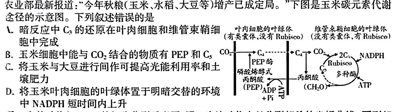 重庆市巴蜀中学2023-2024学年上学期八年级期中考试生物