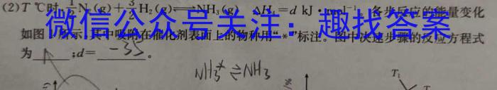 3菁师联盟2024届12月质量监测考试化学试题