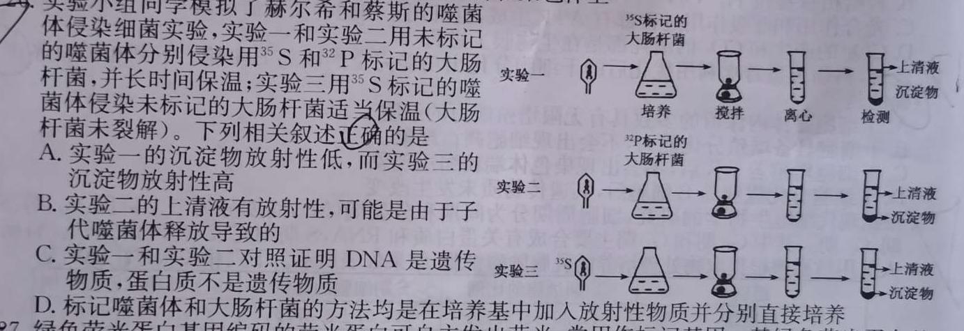 九师联盟 2024届高三12月质量检测X生物学部分