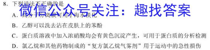 3九师联盟 2024届高三12月质量检测L化学试题