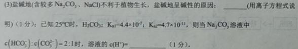 1陕西省2023-2024学年度第一学期九年级课后综合作业（三）C化学试卷答案