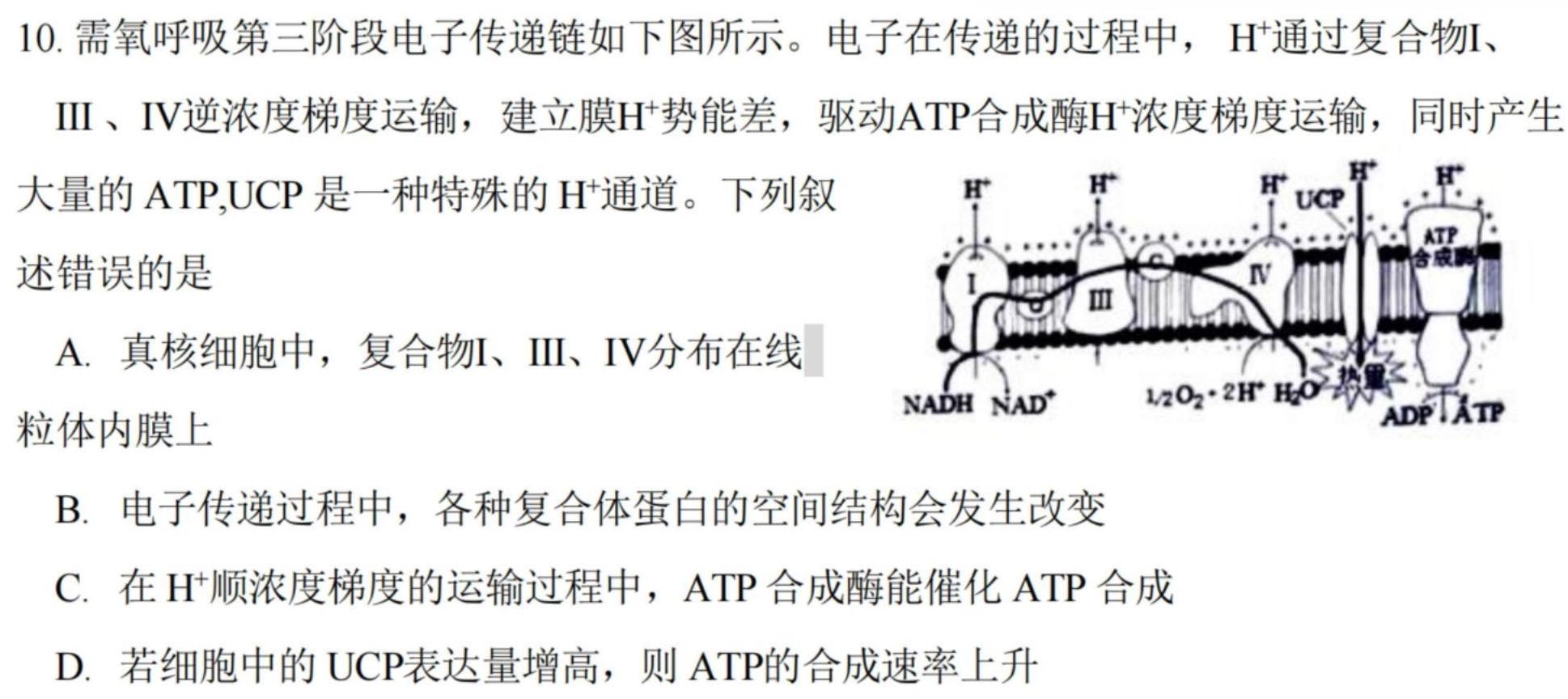 重庆好教育联盟2023-2024学年度高一年级上学期12月联考生物