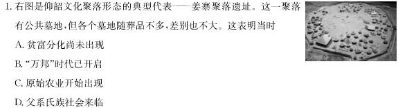 [今日更新]九师联盟 2024届高三12月质量检测X历史试卷答案