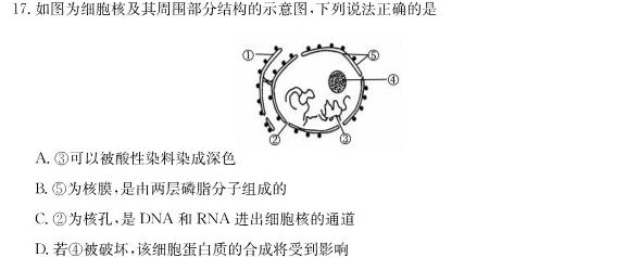 安徽省2023-2024学年度八年级上学期阶段性练习（三）生物