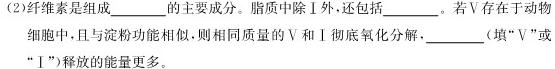 湖南省2024届高三11月质量检测试题生物