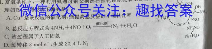 q文海大联考2024届高三期中考试化学