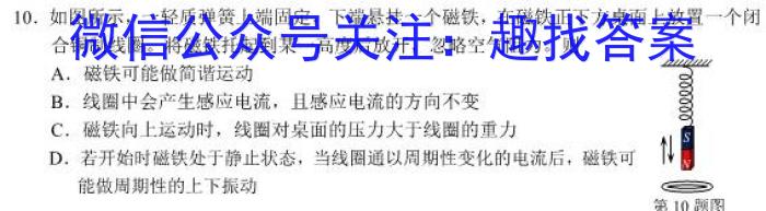 高考快递 2024年普通高等学校招生全国统一考试·信息卷(六)6新高考版l物理