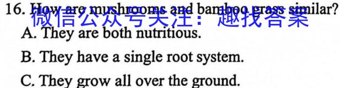 万友2023-2024学年上学期八年级教学评价三英语