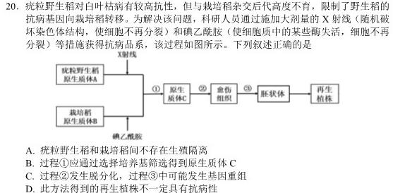 [开封一模]开封市2024届高三年级第一次模拟考试生物学部分