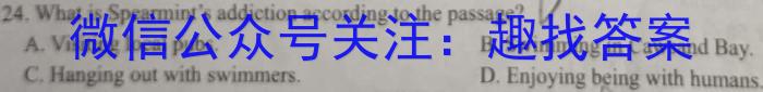2024߿ģ(һ)1Ӣx