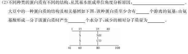 2024届高三第四次大联考试卷生物