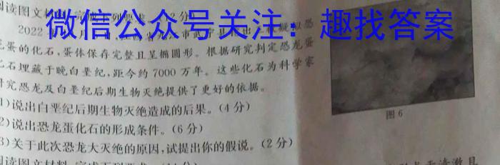 伯乐马 2024年普通高等学校招生新高考模拟考试(九)9地理试卷答案