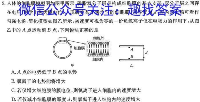 四川省2024届高三12月联考f物理