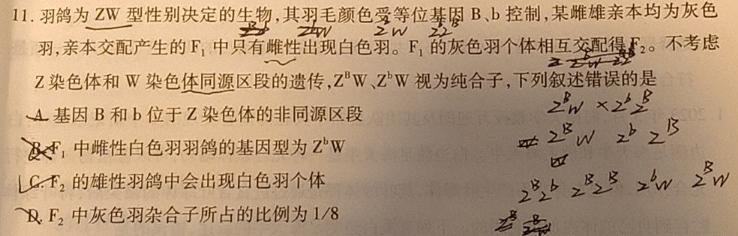 安徽第一卷·2023-2024学年安徽省八年级教学质量检测(12月)生物学部分