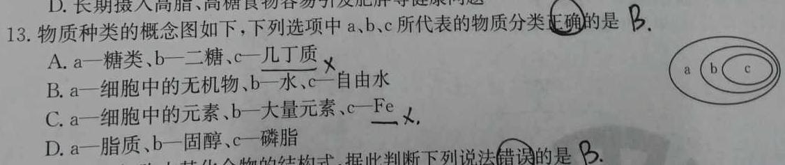 安徽第一卷·2023-2024学年安徽省七年级教学质量检测(12月)生物