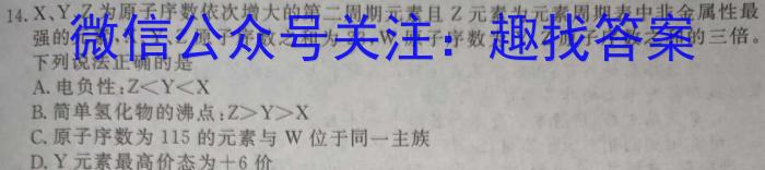 3稳派联考·广东省2023-2024学年高三11月统一调研测试化学试题