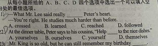 河南省2025届八年级第一学期学习评价（2）［12.6］ 英语