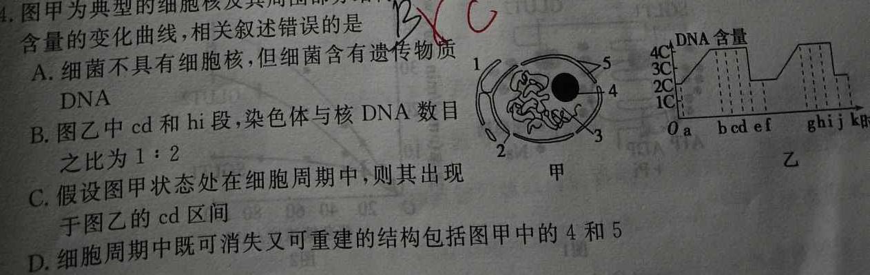 九师联盟·2024届高三11月质量检测巩固卷（XG）生物学部分