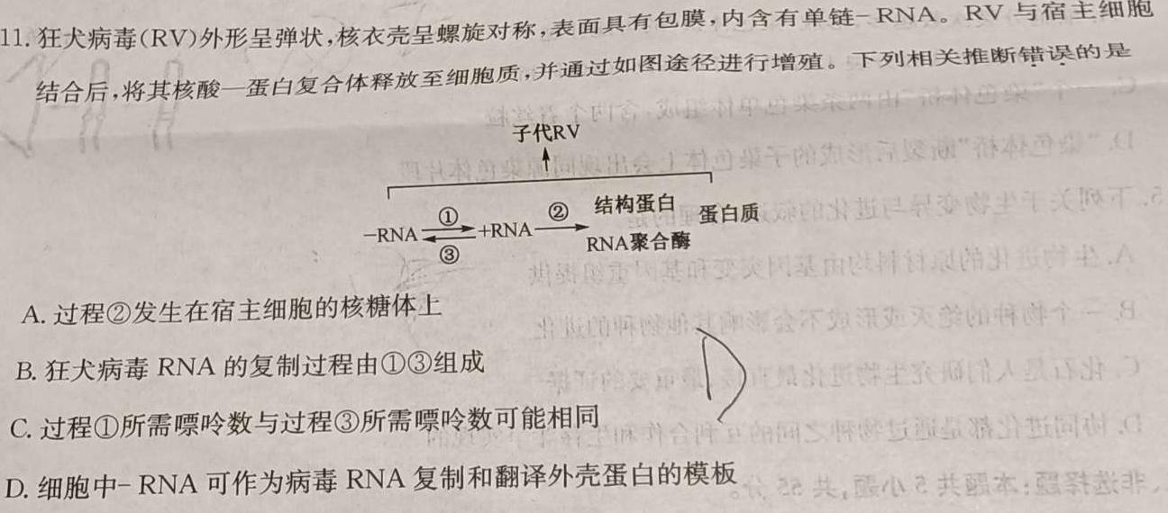 2023-2024学年云南省高二12月联考(24-199B)生物