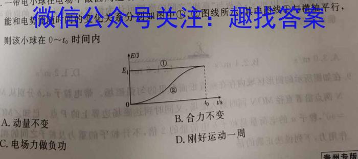 高考必刷卷 2024年全国高考名校名师联席名制(新高考)信息卷(一)q物理