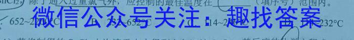 【精品】河南省2023~2024学年九年级上学期阶段性学情分析(三)化学