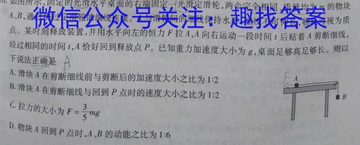 安徽省合肥市某校2023-2024学年九年级阶段检测q物理