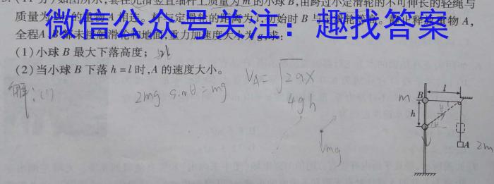 金考卷 百校联盟(新高考卷)2024年普通高等学校招生全国统一考试 领航卷(九)l物理