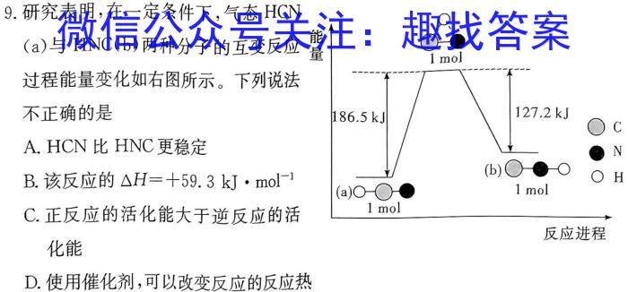 j华大新高考联盟2024届高三年级上学期11月联考化学试卷答案