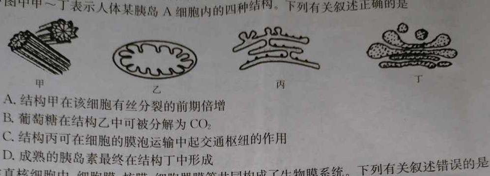 甘肃省武威2023-2024学年八年级第一学期第三次月考试卷生物