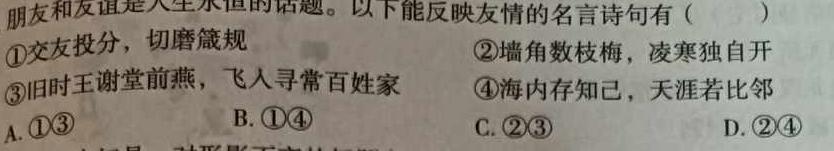 安徽省2023-2024学年度第二学期九年级中考模考思想政治部分