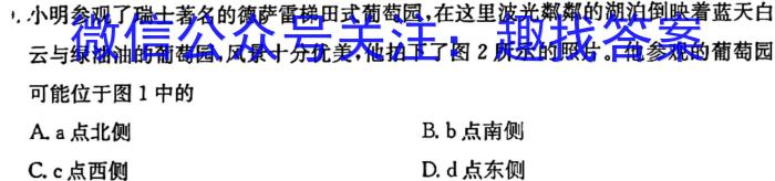 2024届高三5月联考(七个小圆球)地理试卷答案