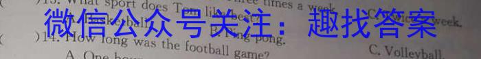 河南省2023-2024学年度第一学期八年级阶段性测试卷（3/4）英语