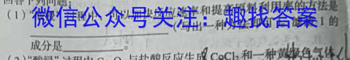 q河南省2023-2024学年度第一学期九年级第二次学情分析化学