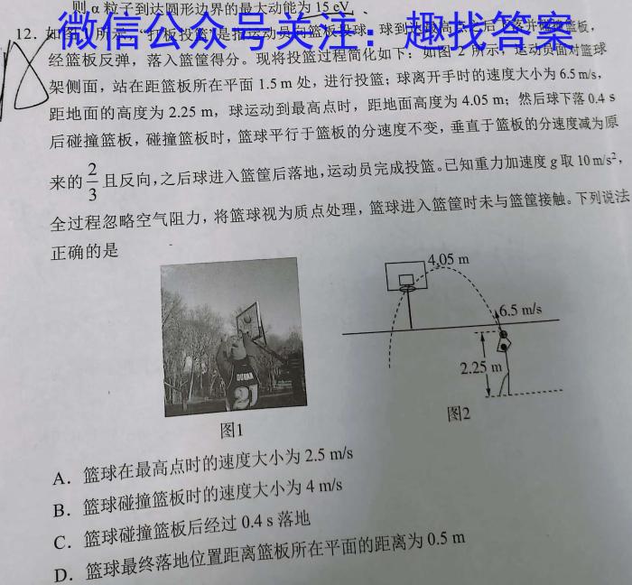 陕西省礼泉县2023-2024学年度高一第一学期中期学科素质调研q物理