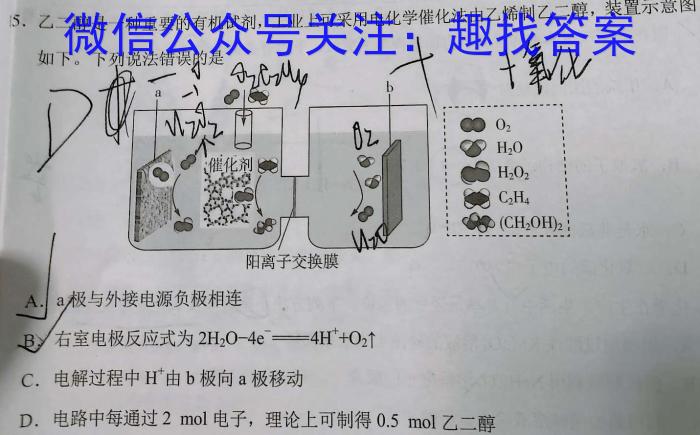 f［湖北大联考］湖北省2023-2024学年度高一年级上学期12月联考化学