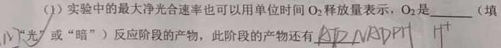 河南省2023-2024学年新乡市高三第一次模拟考试生物