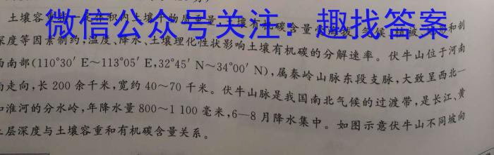 安徽省合肥市庐江县2024届九年级中考模拟4月联考地理试卷答案