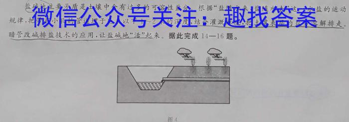 2023-2024学年[泸州三诊]第三次教学质量诊断性考试&政治