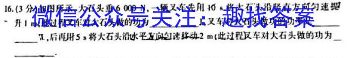 2023年秋季河南省高一第四次联考(24-227A)f物理