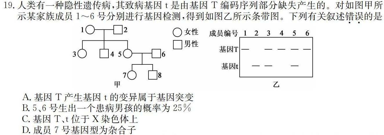 ʡ2023-2024ѧ꼶12¿ޱ⣩