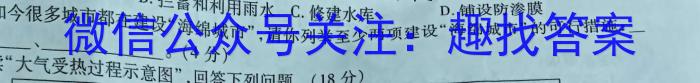 安徽省2024-2025学年九年级开学考地理试卷答案