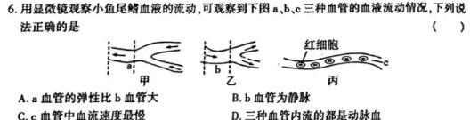 安徽金榜教育 2023-2024学年高二11月期中联考生物