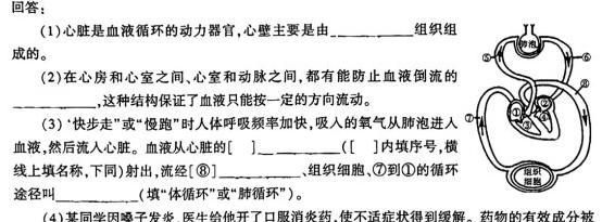 2023-2024学年辽宁省高一考试试卷12月联考(24-194A)生物