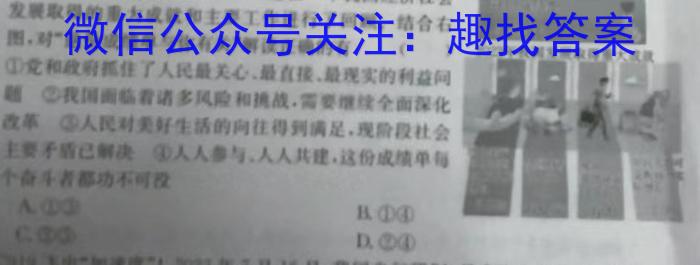 安徽省十联考 合肥一中2024届高三第二次教学质量检测(243174D)政治试卷d答案