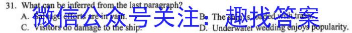 山西省2023-2024学年度九年级上学期第三次月考英语