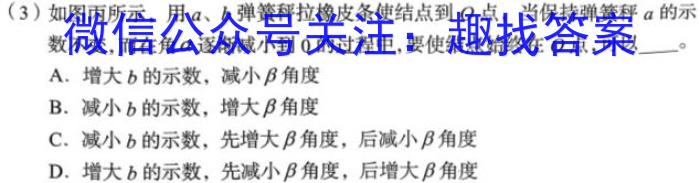 2023年广西三新学术联盟高一年级12月联考l物理