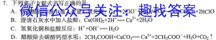 q陕西省2023秋季八年级第二阶段素养达标测试（A卷）基础卷化学