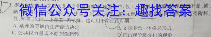 安徽省合肥市某校2023-2024学年九年级阶段检测&政治